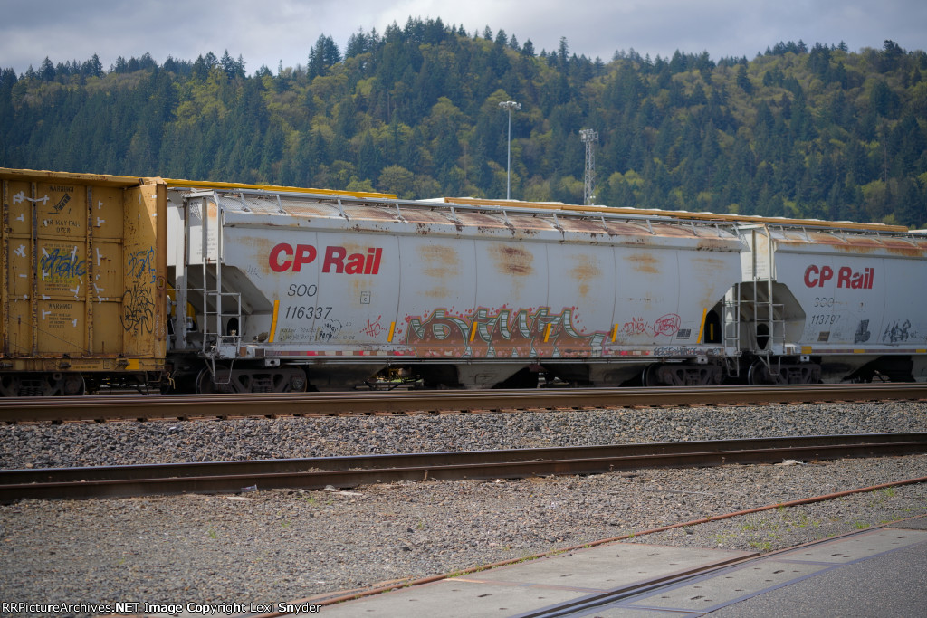 CP 116337